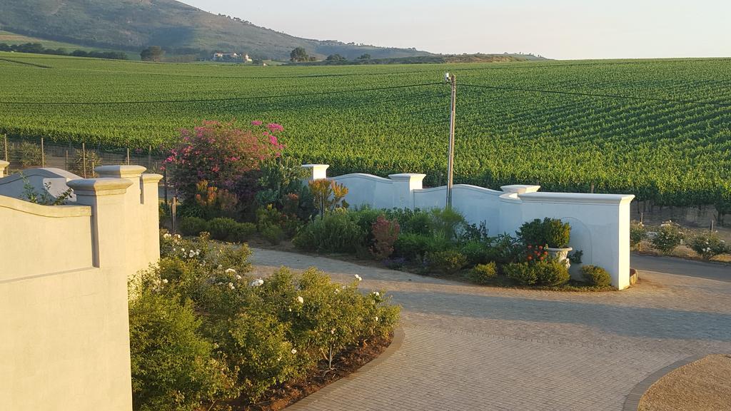 Dieu Donne Stellenbosch Exterior foto