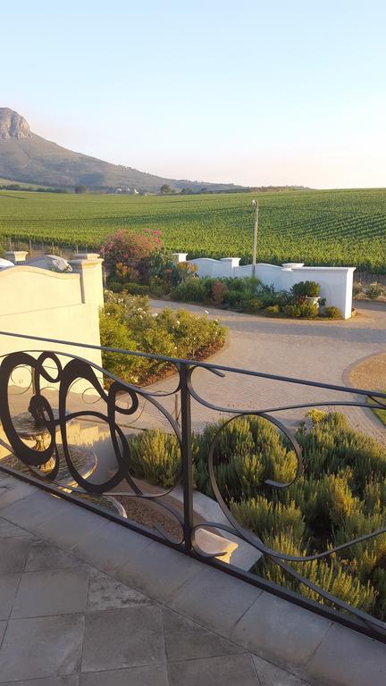 Dieu Donne Stellenbosch Exterior foto
