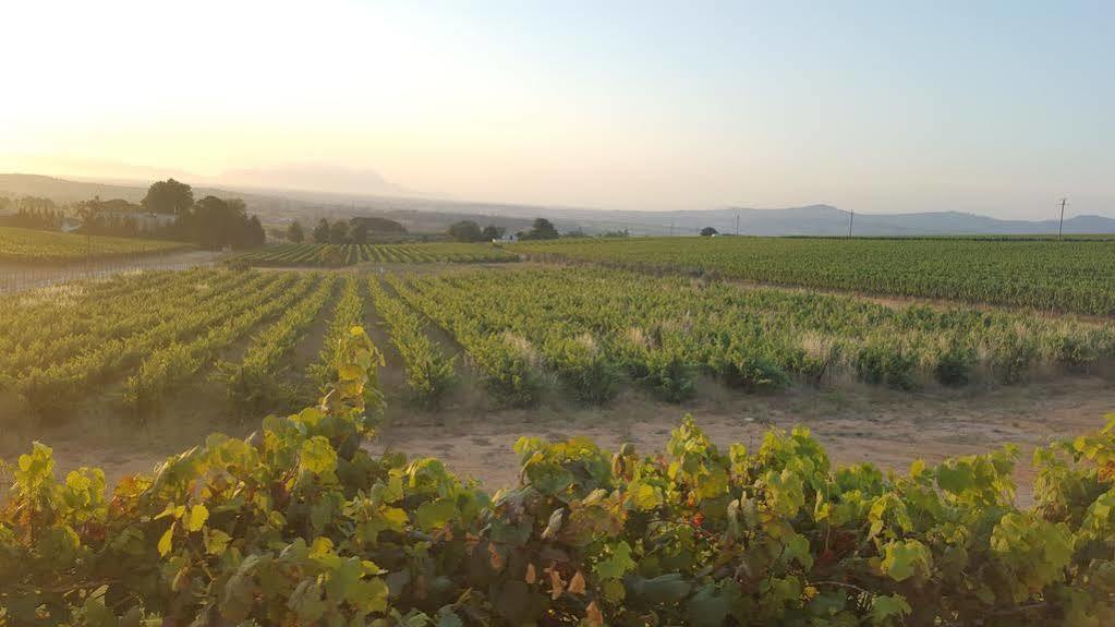 Dieu Donne Stellenbosch Exterior foto
